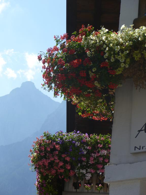 Apartment Haus Driendl *